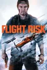 poster-flight-risk-2025